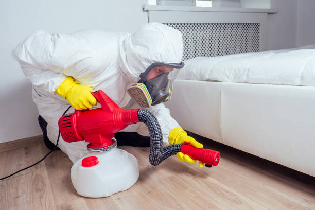 Best Affordable Pest Control Services  in Clifton Forge, VA