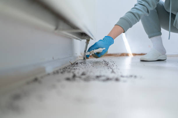 Best Pest Inspection Near Me  in Clifton Forge, VA